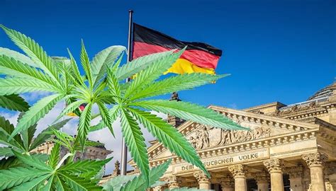 Germany’s Cabinet approves a plan to liberalize rules on cannabis possession and sale